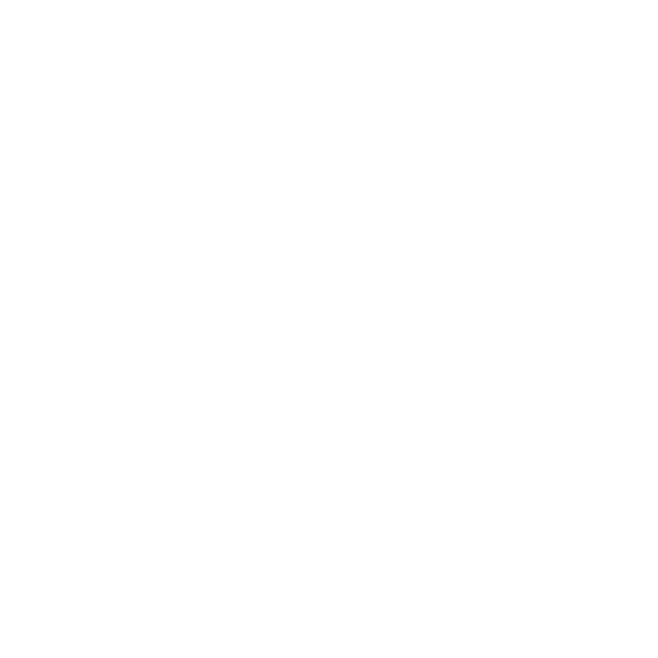 b2s